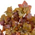Виноградный куст Velvety оранжево-жёлтый микс от TREEZ, TZ.PL.TR.792, 2-я фотография мини